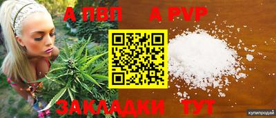 прущие крисы Кимры