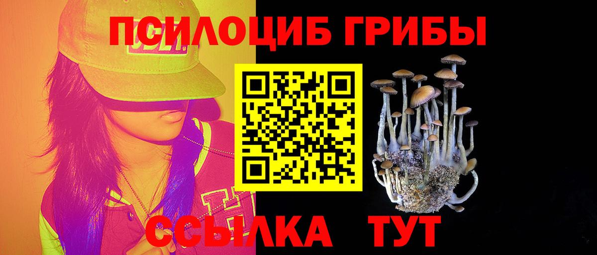 Псилоцибиновые грибы GOLDEN TEACHER Краснокаменск